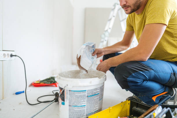 Best Mold Damage Restoration  in Taylors, SC