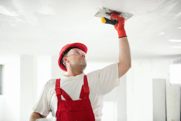 Best Crawl Space Mold Remediation  in Taylors, SC