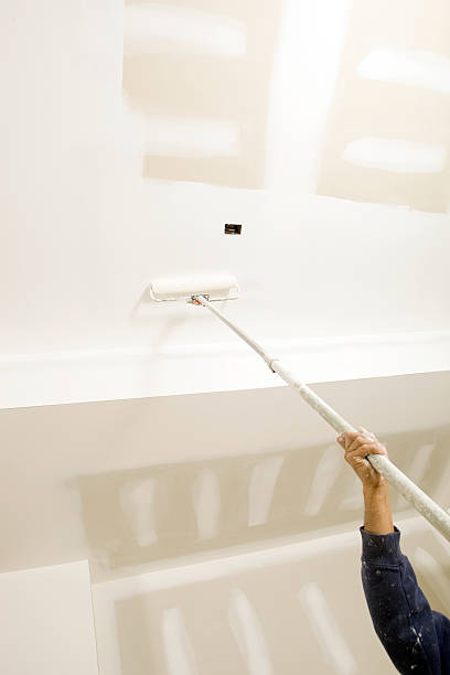 Best Emergency Mold Remediation  in Taylors, SC