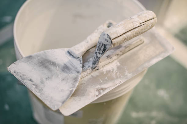 Best Comprehensive Air Testing for Mold Contaminants  in Taylors, SC