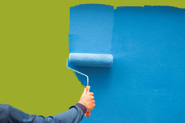 Best Attic Mold Removal  in Taylors, SC