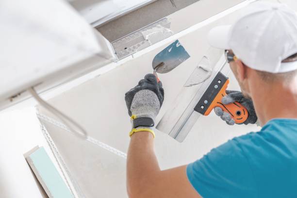 Mold Remediation for Vacation Homes in Taylors, SC